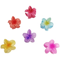 [20250515] Ganchos mini estilo Hawaianos en forma de lirio en colores surtidos